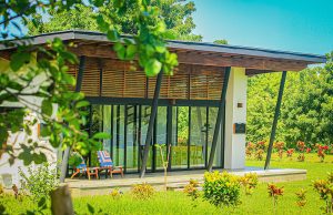 Surfingnahua-Office-1