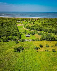 Surfingnahua-Office-2