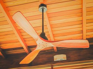 Surfingnahua-Office-9